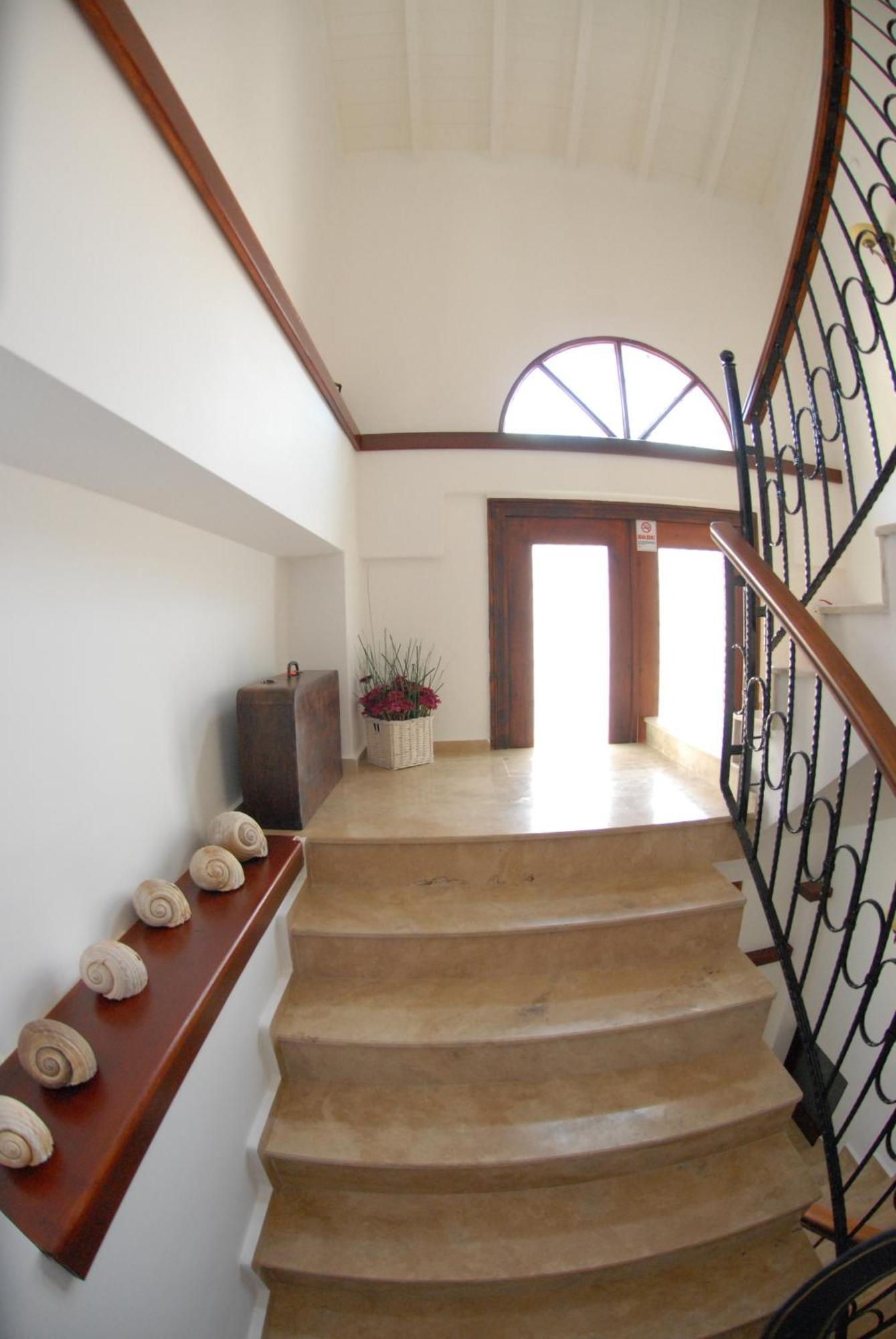 Aliye Hanim Hotel ไอวาลิค ภายนอก รูปภาพ